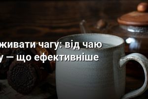 5 способів вживати чагу фото