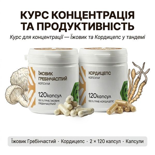 Концентрація та продуктивність | Капсули DAR-0101 фото