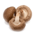 Шиитаке