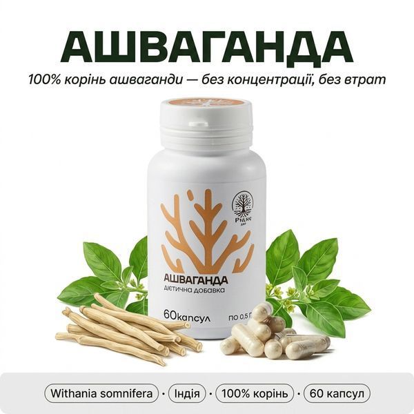 Ашваганда | Капсулы | 60 шт DAR-0147 фото