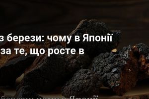 Чага &mdash; гриб з берези: чому в Японії платять $80 за те, що росте в наших лісах фото