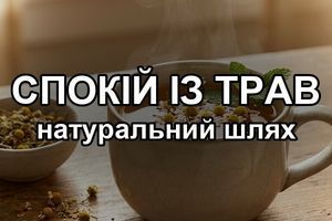 Что пить от тревоги: две травы, которые успокаивают без &laquo;ватной головы&raquo; по утрам фото