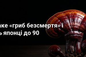 Рейші: що таке &laquo;гриб безсмертя&raquo; і як його їдять японці до 90 фото