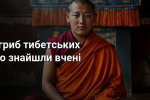 Кордицепс: гриб тибетських монахів &mdash; що знайшли вчені фото