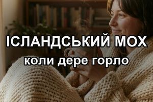 Исландский мох от кашля: как заваривать фото