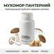 Пантерный мухомор капсулы 60 шт DAR-010 фото 2