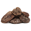 Мухомор Пантерний