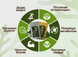 Спирулина Таблетки 100г DAR-0125 фото 3