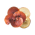 Рейши