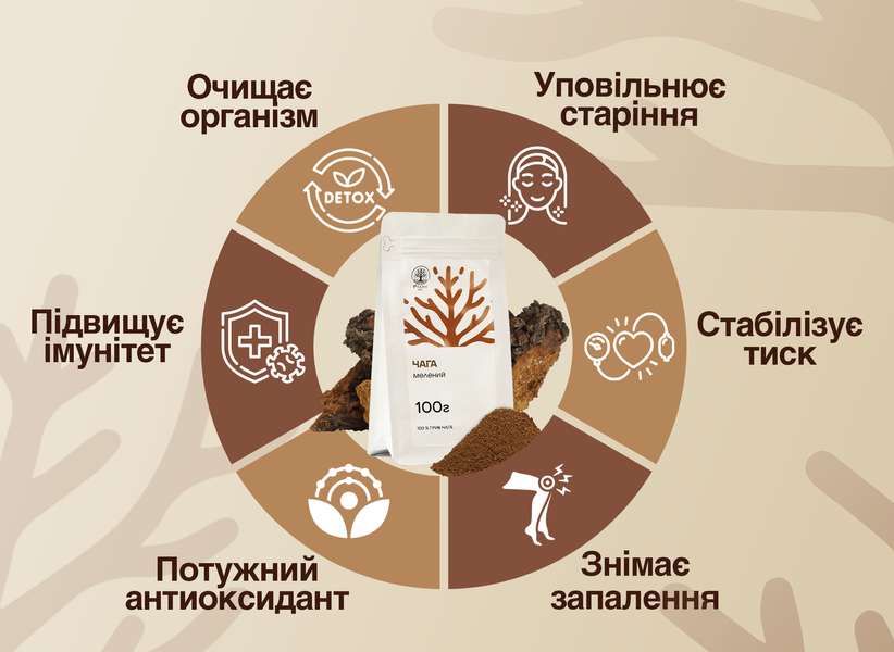 Чага целая 50г DAR-0039 фото