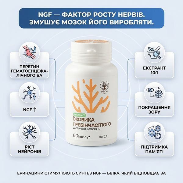 Ежовик | Экстракт | Капсулы 60шт DAR-0130 фото