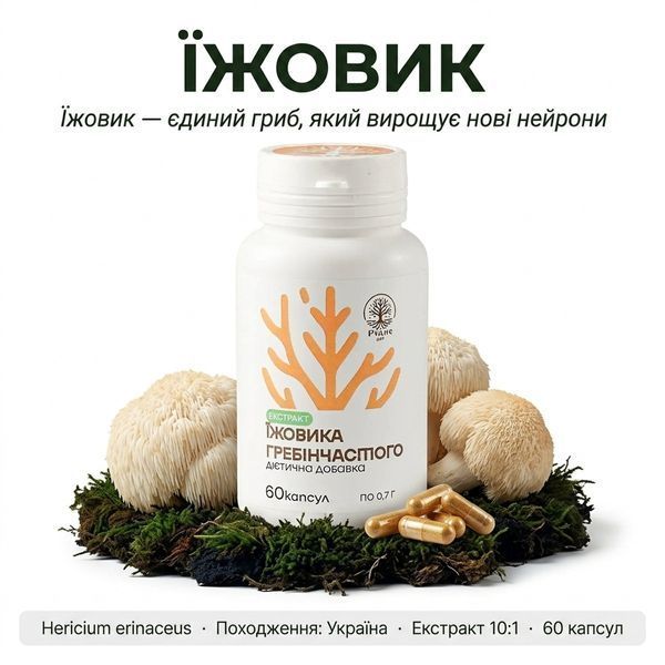 Ежовик | Экстракт | Капсулы 60шт DAR-0130 фото