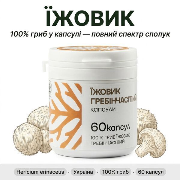 Капсулы Ежовик 60 шт DAR-0033 фото