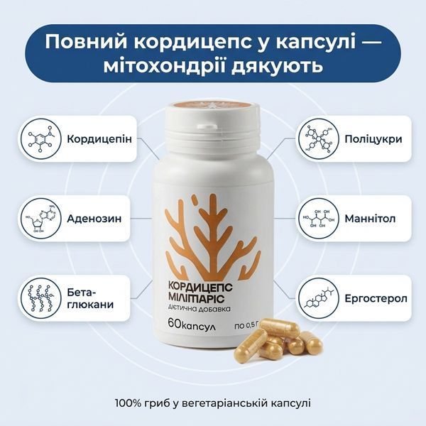 Капсули Кордицепс Мілітаріс 60 шт DAR-0032 фото