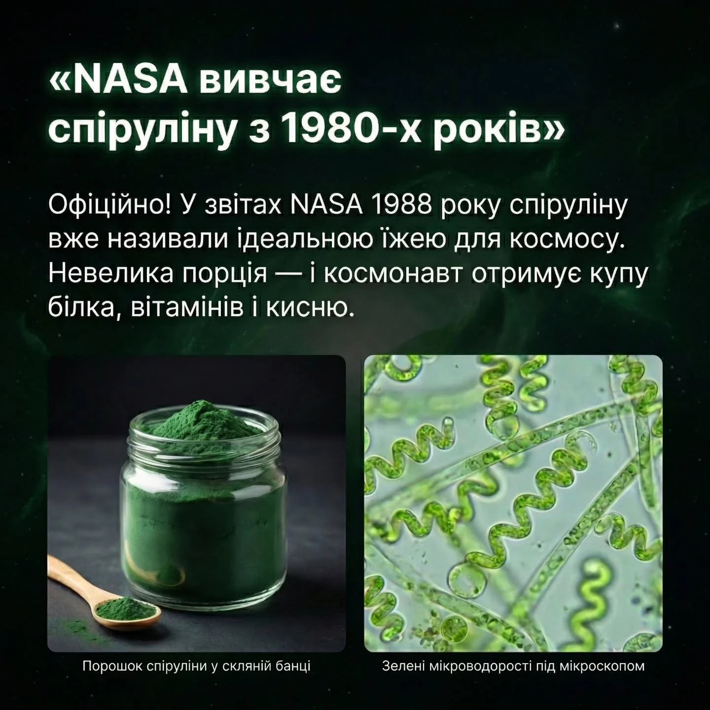 NASA і спіруліна: дослідження 1980-х років.