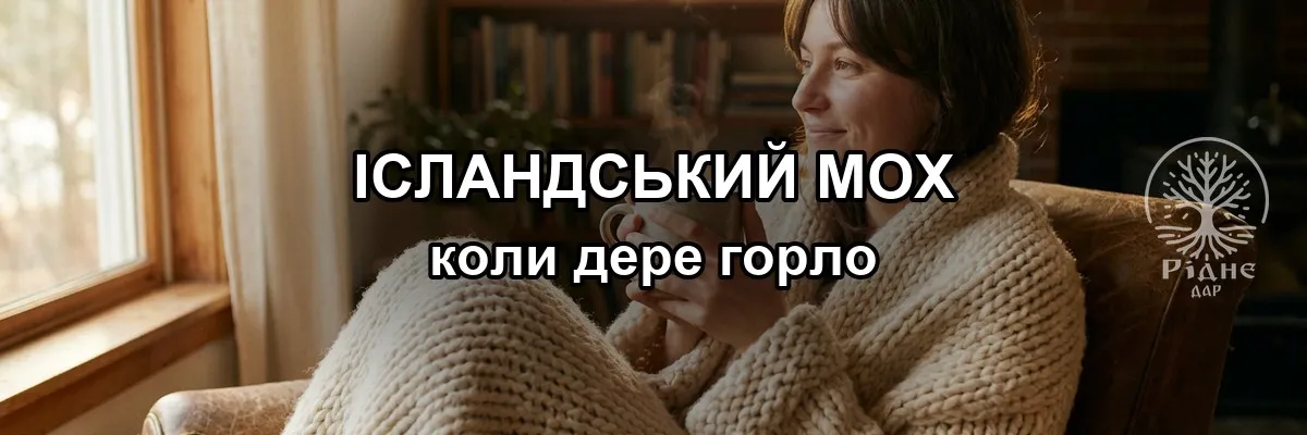 Исландский мох от кашля: как заваривать