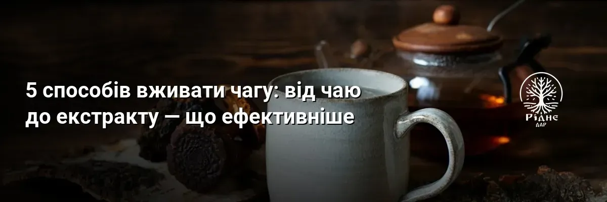 5 способов употреблять чагу: от чая до экстракта – что эффективнее