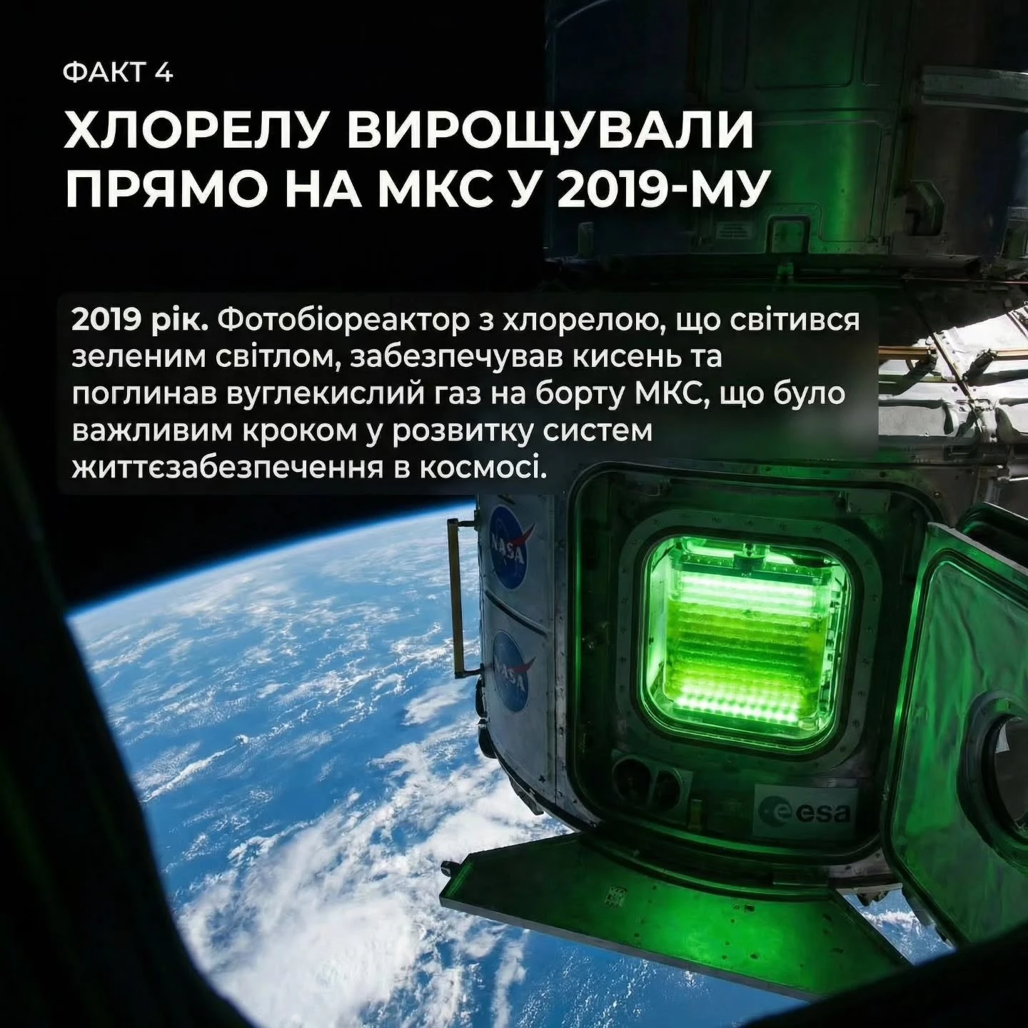 Факт 4: фотобіореактор з хлорелою на МКС, 2019 рік.