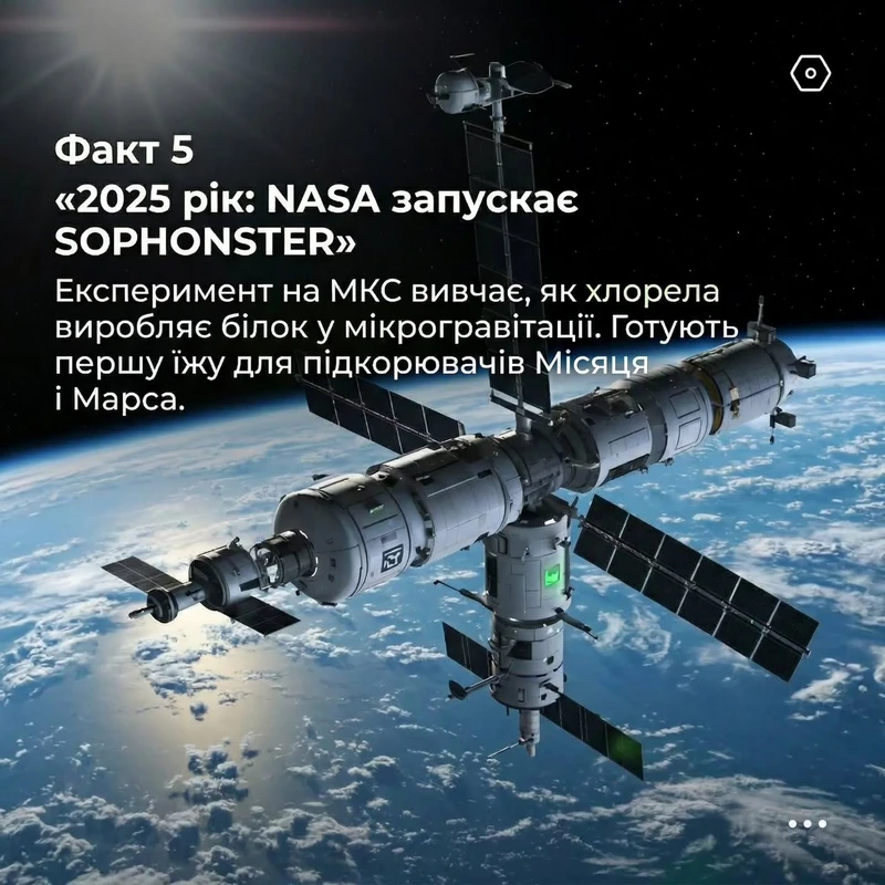 Факт 5: експеримент SOPHONSTER з хлорелою на МКС, 2025 рік.