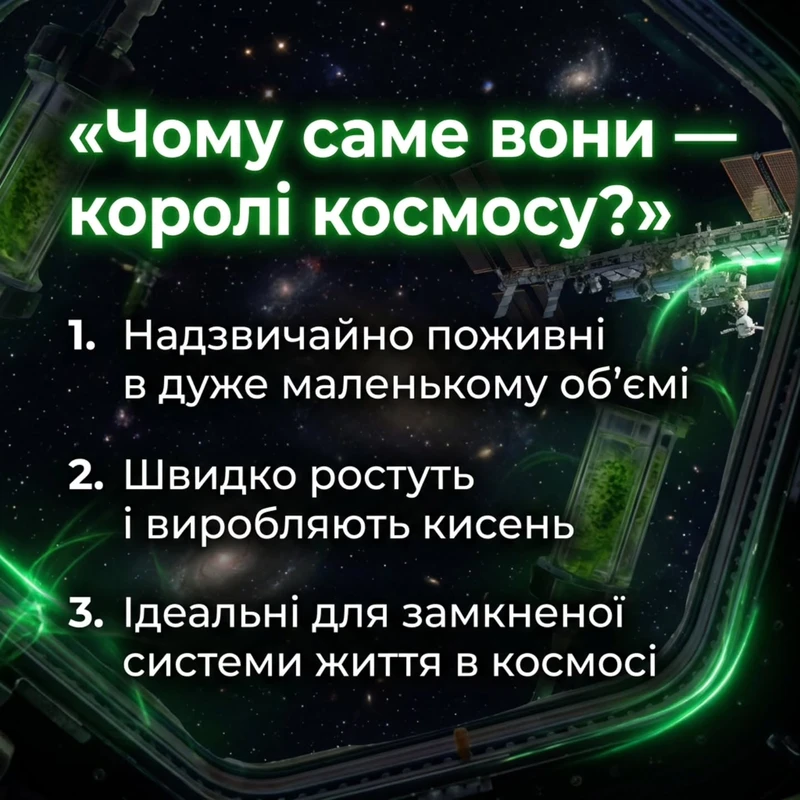 Чому мікроводорості цікаві для космосу: поживні, швидко ростуть, виробляють кисень, підходять для замкнених систем.