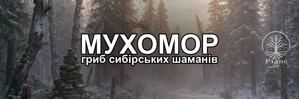 Мухомор і шамани Сибіру: історія священного гриба