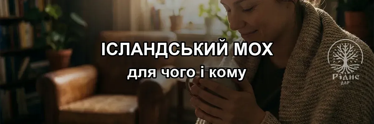 Исландский мох (цетрария): для чего и кому