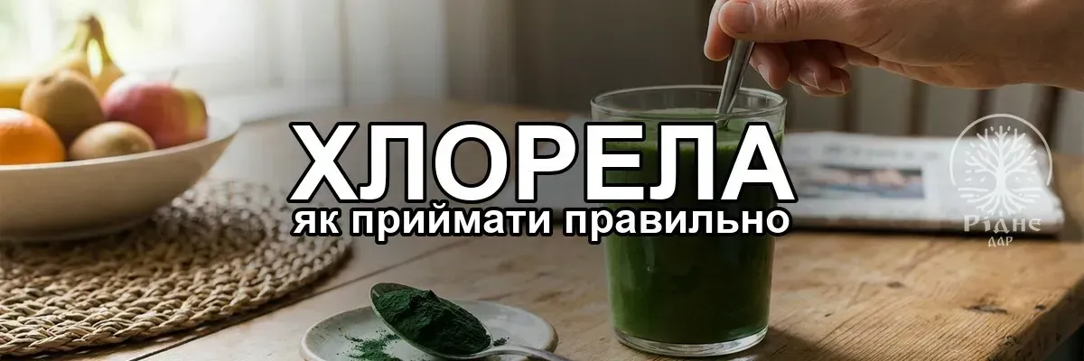 Хлорела: як приймати і дозування
