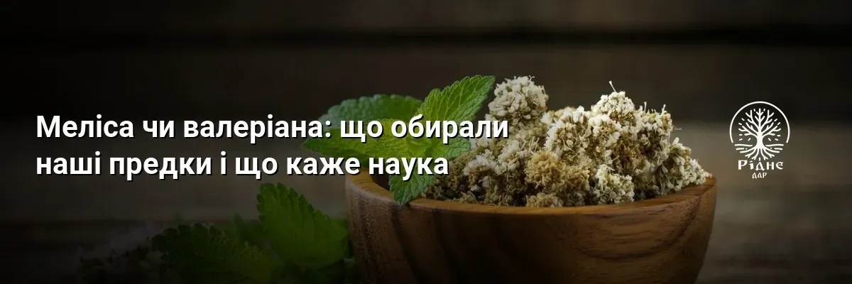 Меліса чи валеріана: що обирали наші предки і що каже наука