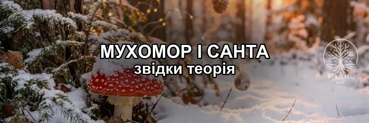 Мухомор і Санта Клаус: звідки взялася теорія