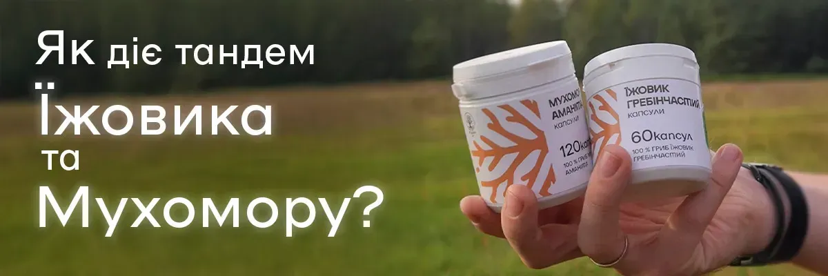 Мухомор та Їжовик: чому їх поєднують?