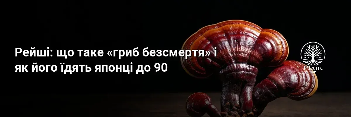 Рейші: що таке «гриб безсмертя» і як його їдять японці до 90