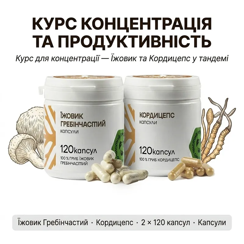 Концентрация и продуктивность | Капсулы — Фото 2