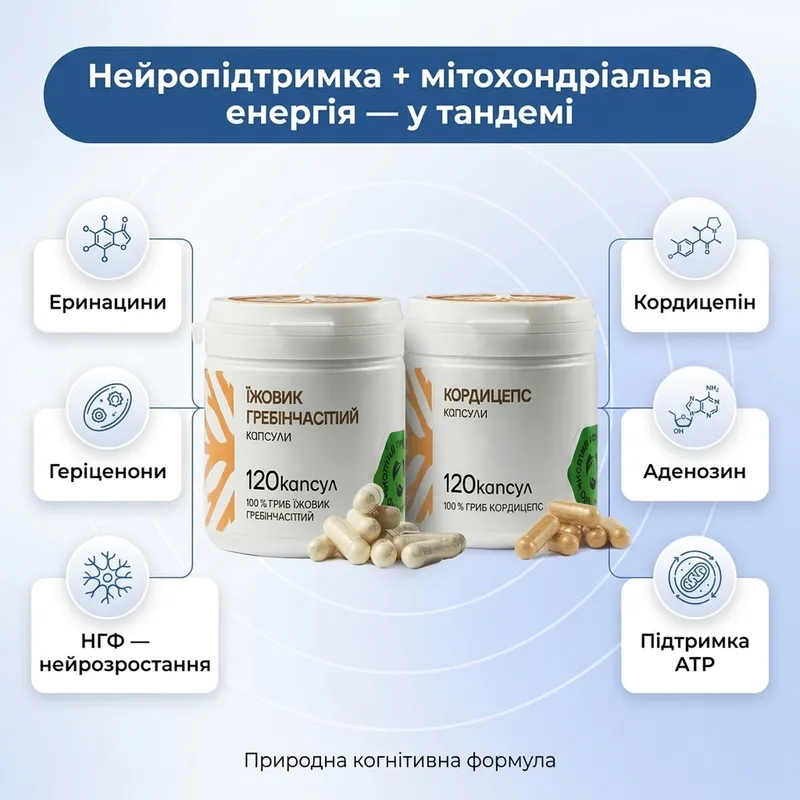 Концентрация и продуктивность | Капсулы — Фото 3
