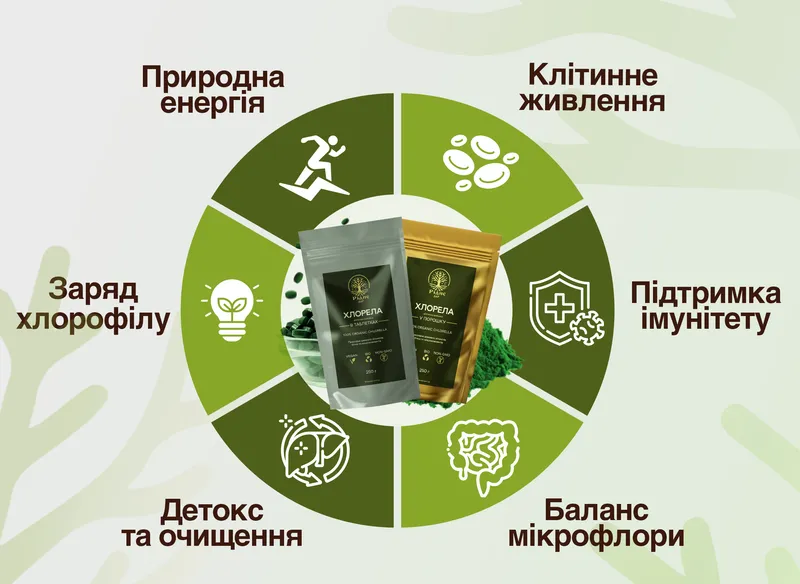 Хлорелла Порошок 250г — Фото 2